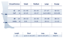 Bauerfeind Compression Sock Training size chart