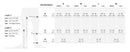 Bauerfeind VenoTrain Soft Thigh High Compression Stockings 20-30 mmHg size chart