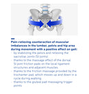 Bauerfeind CoxaTrain Hip Brace | Medibrace Canada